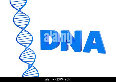 Luxury blue inscription DNA on grey podium, soft light, smooth background, 3d render illustration Stock Photo