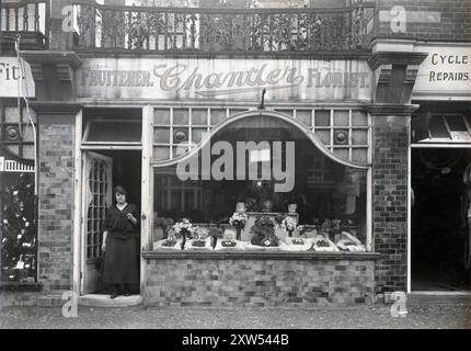 Orpington, Kent. circa. 1920 – A photograph of Chantler Fruiterer and Florist shop, 3 Aynscombe Mart, High Street, Orpington. The shop window displays an attractive selection of flowers and fruit, artistically displayed. The shopkeeper is standing in the doorway. The shop was established on 4 September 1915 by John Hohmann Chantler of Cockmannings Nursery, St. Mary Cray. The shop was used as an outlet to sell fruit, vegetables and flowers grown at the Nursery. The 40+ acre Cockmannings Nursey was acquired from H. Cannell & Sons of Swanley by John’s father, Christian William Chantler in 1912. Stock Photo