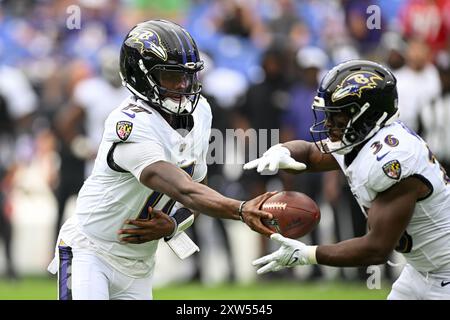 Baltimore Ravens quarterback Josh Johnson (17) hands off the ball to ...