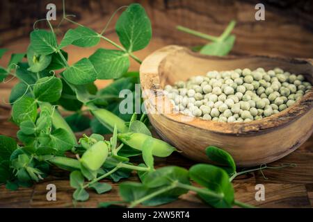 Peas Pisum sativum on olive wood for a pea  soup Stock Photo