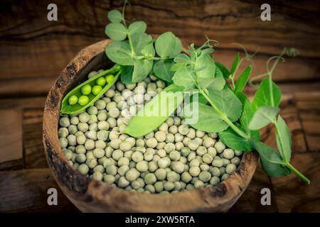 Peas Pisum sativum on olive wood for a pea  soup Stock Photo