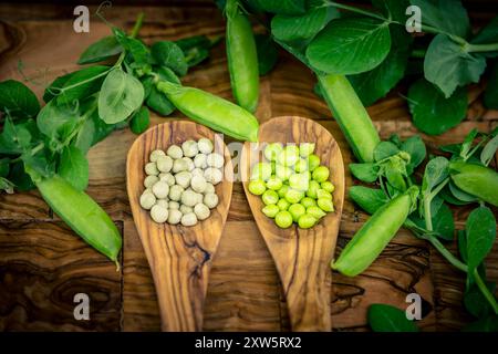 Peas Pisum sativum on olive wood for a pea  soup Stock Photo