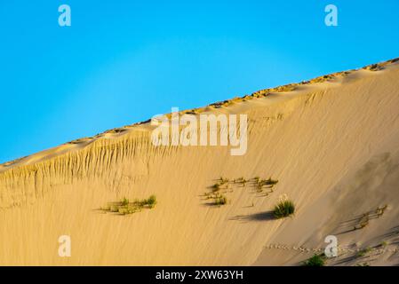 Giant Sand Dunes in Cape Reinga - New Zealand Stock Photo