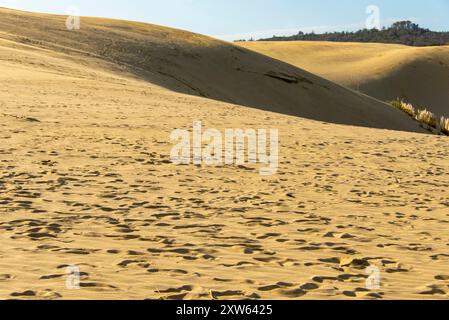 Giant Sand Dunes in Cape Reinga - New Zealand Stock Photo