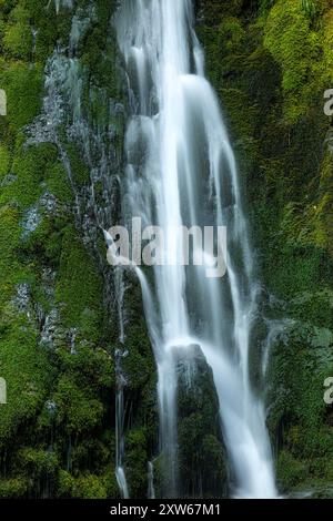 A waterfall in a short river up North. Colorful autumn, fall leaves in ...