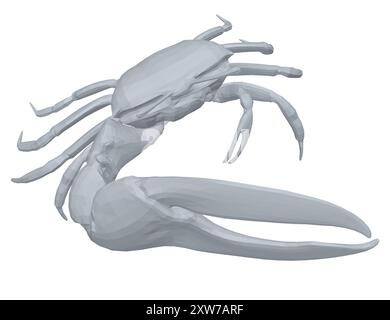Polygonal model of a crab with one huge claw isolated on a white background. 3D. Stock Vector