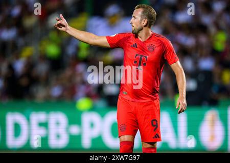 Ulm, Germany. 16th Aug, 2024. Soccer: DFB Cup, SSV Ulm 1846 - Bayern Munich, 1st round, Donaustadion. Munich's Harry Kane gesticulates. Credit: Tom Weller/dpa/Alamy Live News Stock Photo