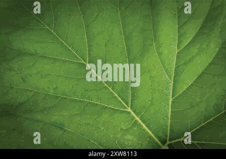 Green leaf structure abstract Stock Vector