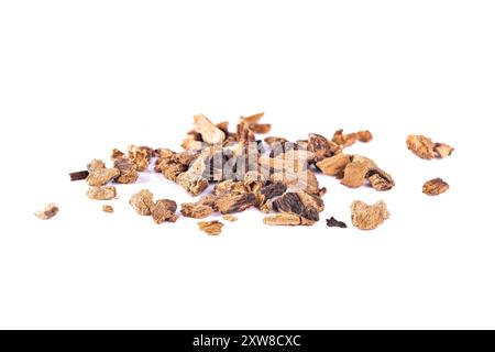 great yellow gentian dried root pile isolated on white background. bitter for apéritifs, liqueurs, and tonics. herbal medicine Stock Photo