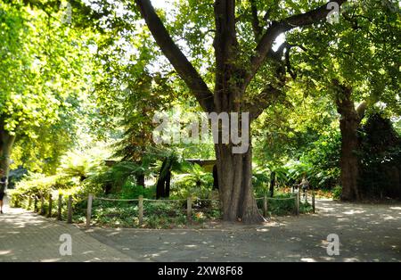 St John's Wood Church Grounds, St John's Church, London, England, United Kingdom - A beautiful, tranquil park with access to all. Stock Photo