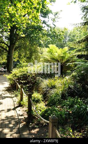 Vegetation, St John's Wood Church Grounds, St John's Church, London, England, United Kingdom - A beautiful, tranquil park with access to all. Stock Photo