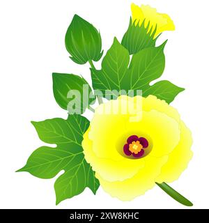 Yellow flower of cotton with buds and leaves on a branch. Stock Vector