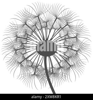 Large gray dandelion head on a white background. Stock Vector