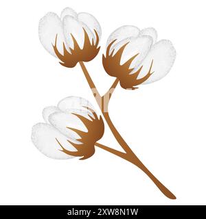 Branch of cotton plant with buds isolated over white background. Stock Vector