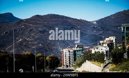 The wildfire that was started on Yamanlar Mountain in Izmir on August 15, spread over a wide area due to the effect of the wind. The fire also affected residential and industrial areas. 17 houses were burned in the fire, 105 houses were evacuated. 44 workplaces were also evacuated. The fire, which caused the evacuation of 3 neighborhoods, affected an area of ​​approximately 1600 hectares. While there was no loss of human life in the fire, some animals in the villages died. The wildfire in Izmir Yamanlar were brought under control and was extinguished. Stock Photo