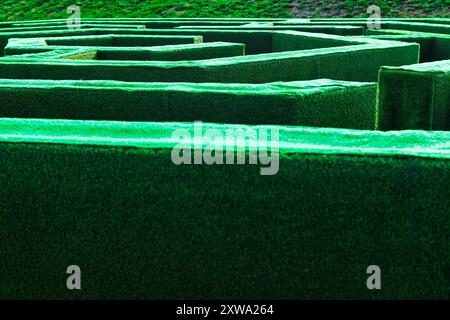 Green maze with a green hedge. Labirint surrounded by high walls of greenery Stock Photo