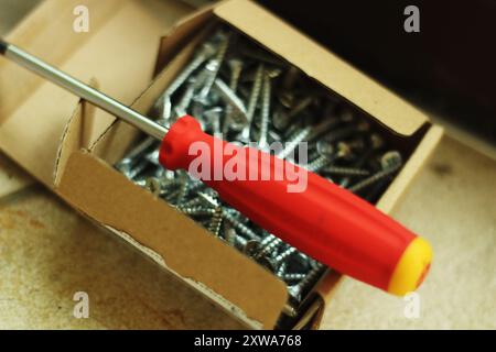 A red screwdriver rests on a box full of screws in a wide aperture shot. The blurred background highlights the tool, symbolizing the essence of DIY pr Stock Photo