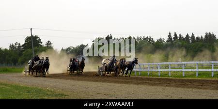 Three chuckwagons kicking up dust as they race around in a track in a country fair in Saskatchewan Stock Photo