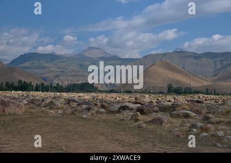 Open-air petroglyph museum in Kyrgyzstan Stock Photo