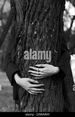 Hands and arms wrapped around tree trunk below looking up at canopy ...