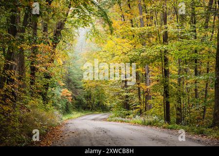 Autumn trees frame a dirt road in the countryside Stock Photo