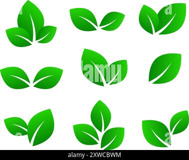 Set of green leaves icons, vector illustration Stock Vector