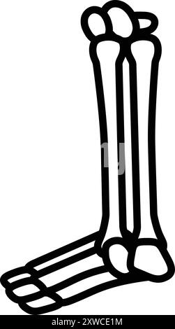 A skeleton leg is shown in black and white. The leg is drawn in a very simple style, with no shading or detail. The leg is shown in a vertical positio Stock Vector