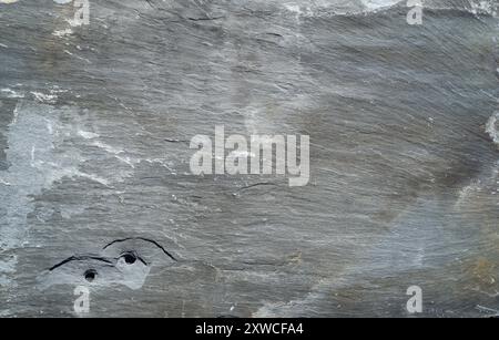 Background or actual image of a weathered Welsh roof slate from a Victorian house (UK) Stock Photo