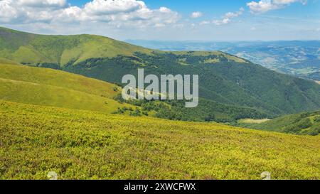 rolling grassy hills. carpathian landscape of ukraine on a sunny summer day. slopes of borzhava ridge. mountainous scenery with beautiful view Stock Photo