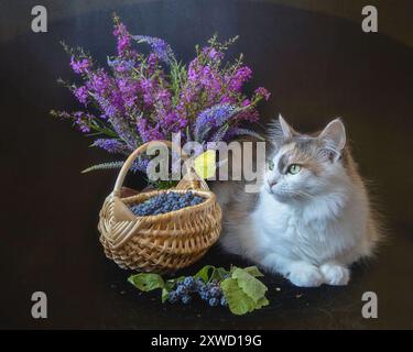 Portrait pretty kitty with wild flowers and wild blackberry Stock Photo