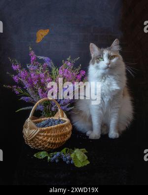 Portrait pretty kitty with wild flowers and wild blackberry Stock Photo