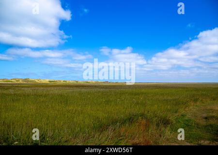 Wide landscape on the coast of Denmark with dunes in the background. High quality photo Stock Photo