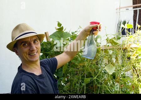 Smiling young man in hat spraying green beans growing on trellises. Portrait of happy man working in eco-garden. Stock Photo