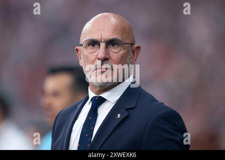 Luis de la Fuente (Spanien, Trainer), GER, Spain (ESP) vs England (ENG), Fussball Europameisterschaft, UEFA EURO 2024, Final, 14.07.2024 Foto: Eibner-Pressefoto/Michael Memmler Stock Photo