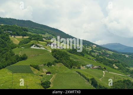 Rolling hills covered in vineyards and dotted with small houses in a picturesque Italian landscape. Stock Photo