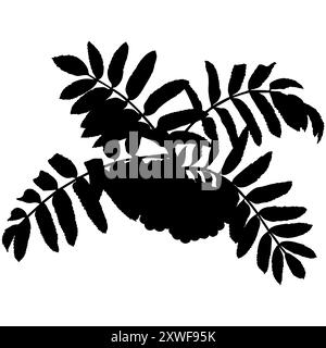 Rowan tree branch with berries and leaves, vector illustration. Rowanberry twig silhouette. Stock Vector