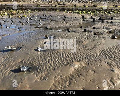 Off cuts of guttering on a sandy beach. Used as crab traps crab shelters by fishermen anglers. Concept: hazards, plastic pollution,  ghost fishing. Stock Photo