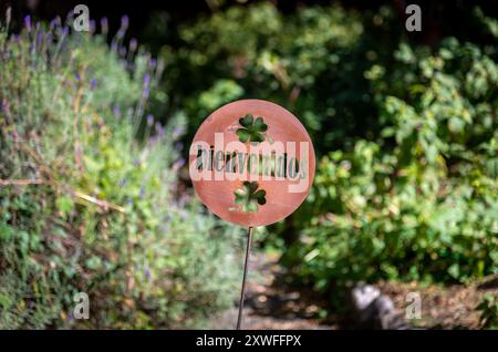 Rusty old carved welcome sign with shamrocks and a soft blurred de-focused green foliage background in spanish Stock Photo