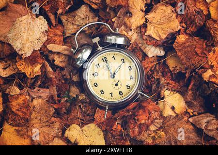 Daylight saving time concept, old analog alarm clock set to two o'clock placed on a pile of dry autumn foliage leaves, top view flat lay Stock Photo