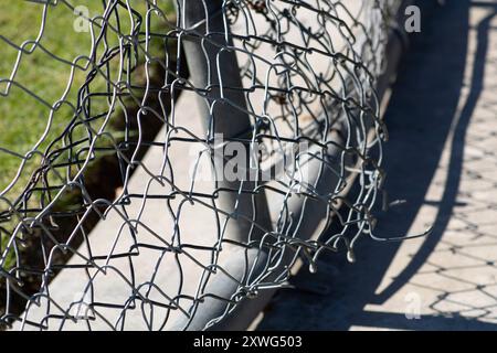 chain link fence bent outward Stock Photo - Alamy