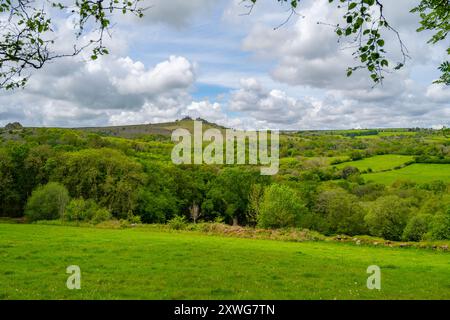 Looking across woodland towards Hound Tor from bath near Becka Brook Stock Photo