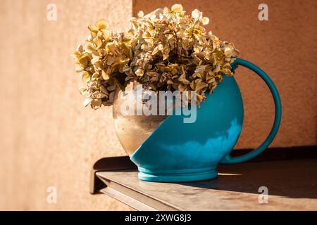 Bouquet of dried hydrangea beige flowers in a blue pot Vintage flowers in an old teapot against orange wall in rural house Provence floral composition Stock Photo