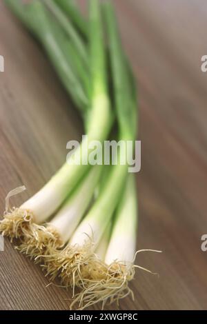welsh onion (Allium fistulosum), welsh onion on a desk Stock Photo