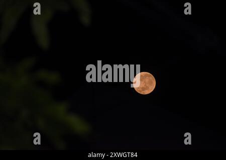 Bandung, West Java, Indonesia. 20th Aug, 2024. The first supermoon of the year, also known as the Sturgeon Moon, was visible in the sky in Bandung, Indonesia. (Credit Image: © Dimas Rachmatsyah/ZUMA Press Wire) EDITORIAL USAGE ONLY! Not for Commercial USAGE! Stock Photo