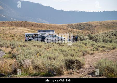 Photographers and Wildlife Enthusiasts in Yellowstone National Park Stock Photo