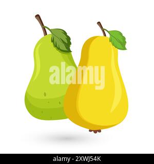 Two pear fruits on Isolated BG. green and yellow pear fruits on white background, Sweet pear Organic healthy fruits, vector illustration Stock Vector