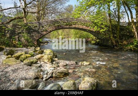 Stone bridge across River Derwent in spring Longthwaite Borrowdale Valley Lake District National Park Cumbria England UK United Kingdom Britain Stock Photo