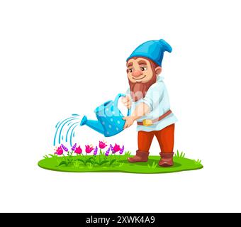 Cartoon gnome dwarf character watering flowers in garden, vector fairy tale personage. Gnome man gardener or little dwarf farmer character watering flowers on meadow of fairytale village for kids game Stock Vector