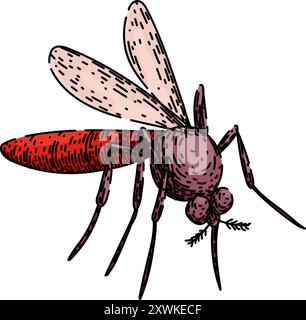 zika mosquito sketch hand drawn vector Stock Vector Image & Art - Alamy