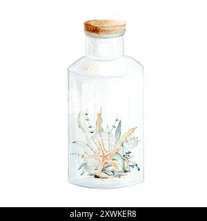 Beige sea shells, pebbles and seaweed in glass bottle watercolor illustration isolated on white background. Hand drawn ocean clams clipart for nautica Stock Photo